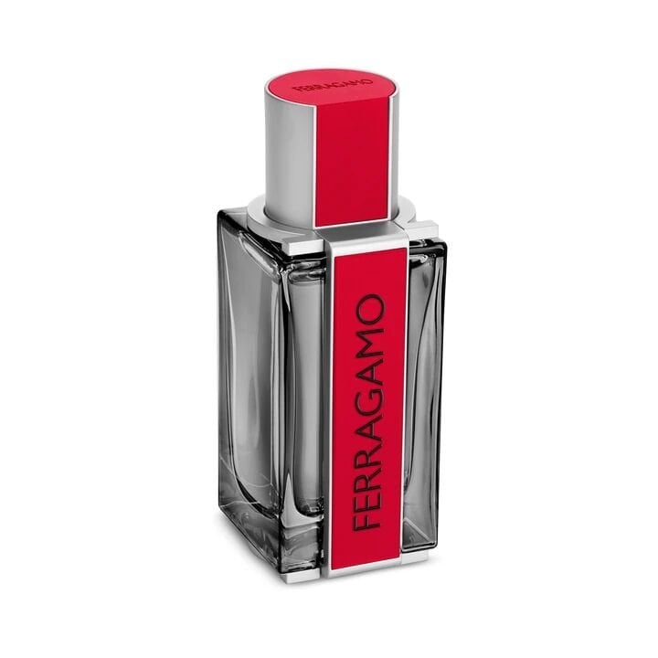 Red Leather EDP 50 ml Erkek Parfüm