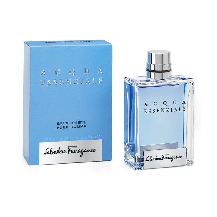 Acqua Essenziale EDT 100 ml Erkek Parfüm