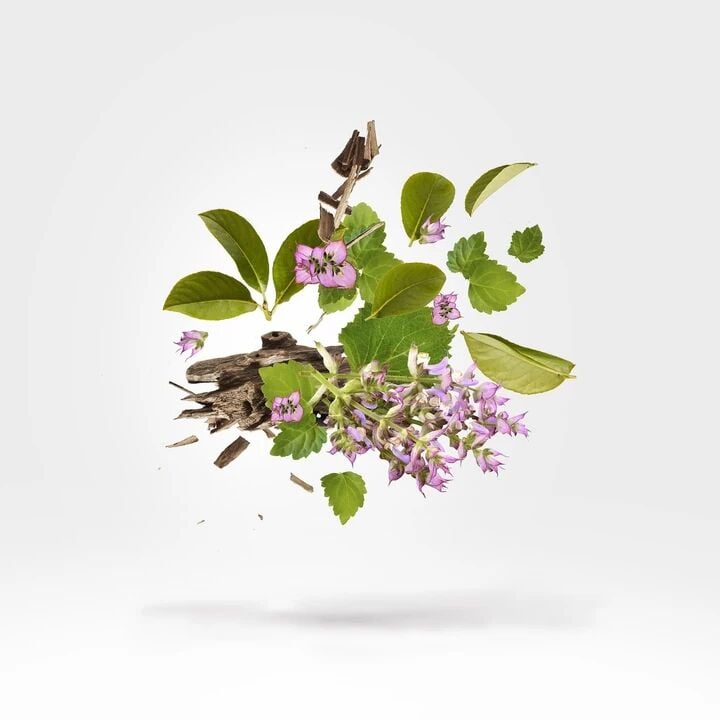 Holysm 50 ml Parfüm